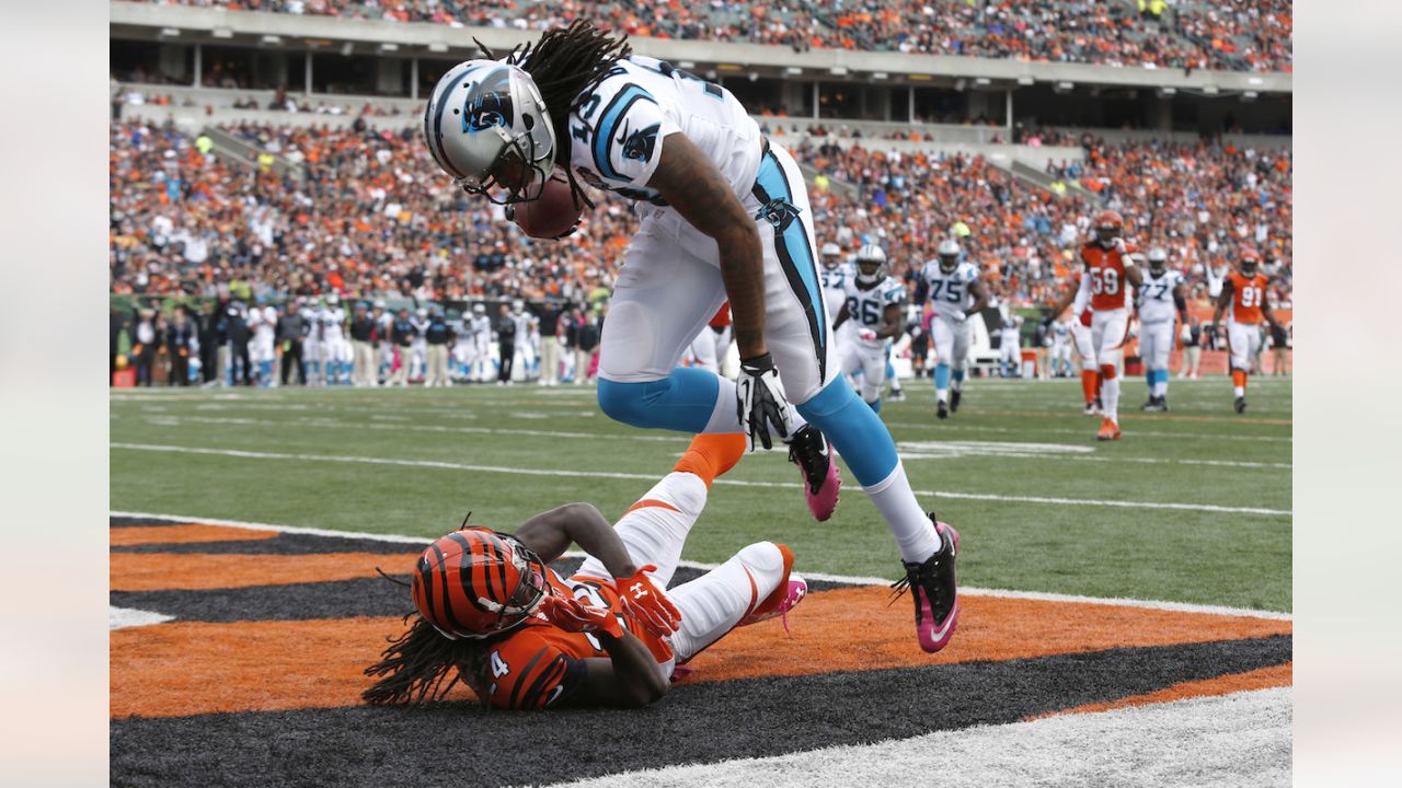 Carolina Panthers at Cincinnati Bengals - HungryTickets