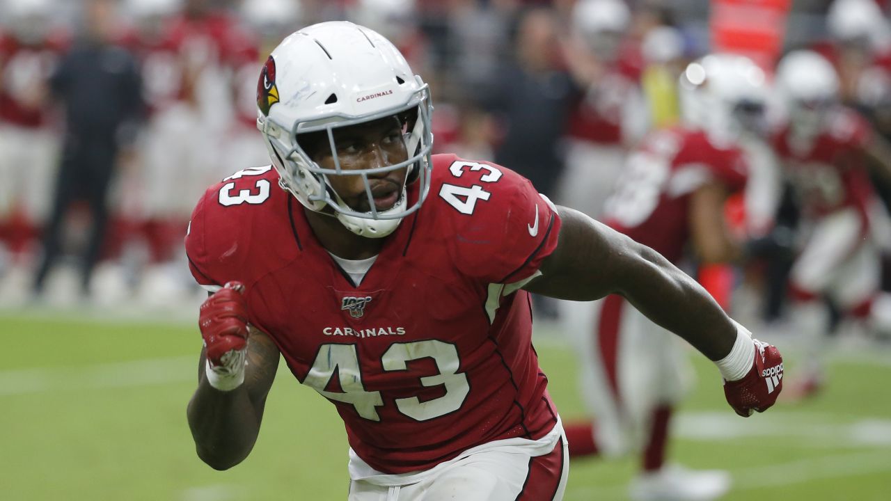 arizona cardinals 43