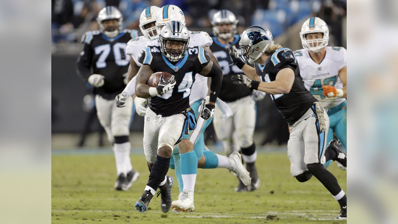 Photos: Panthers vs. Dolphins