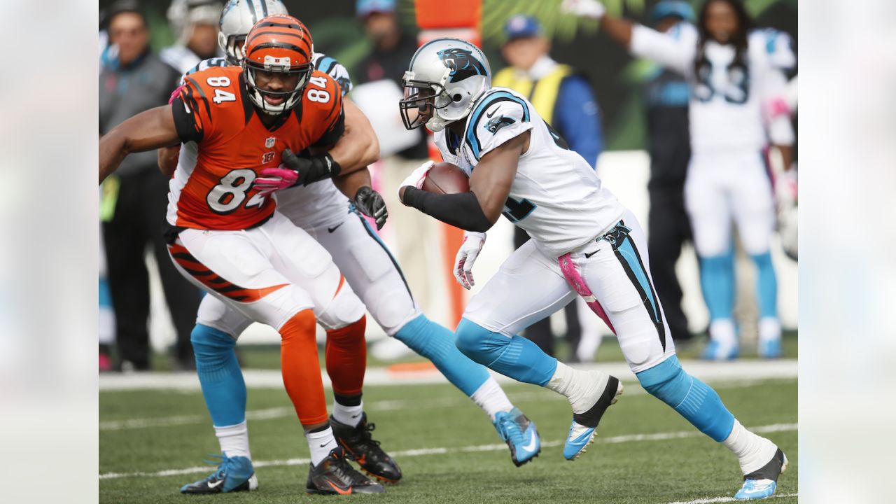 Panthers at Bengals Game Center  Cincinnati Bengals 