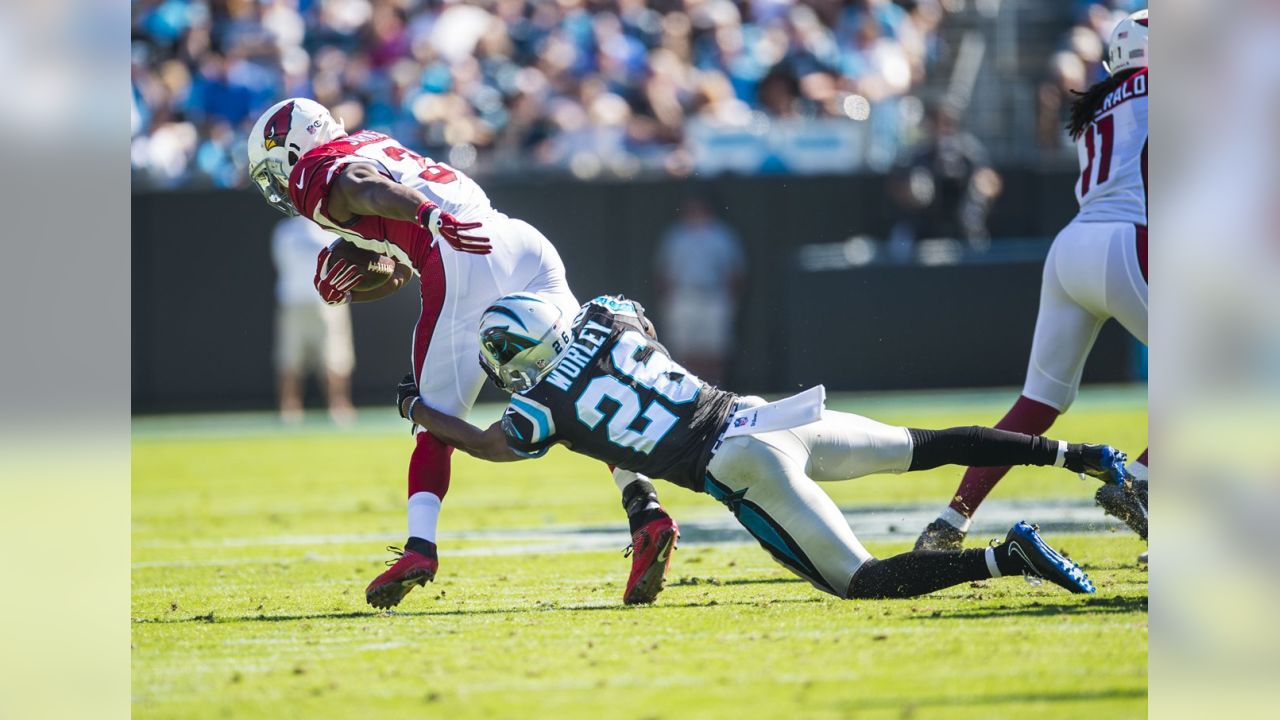 James Bradberry earns top grade among rookie corners