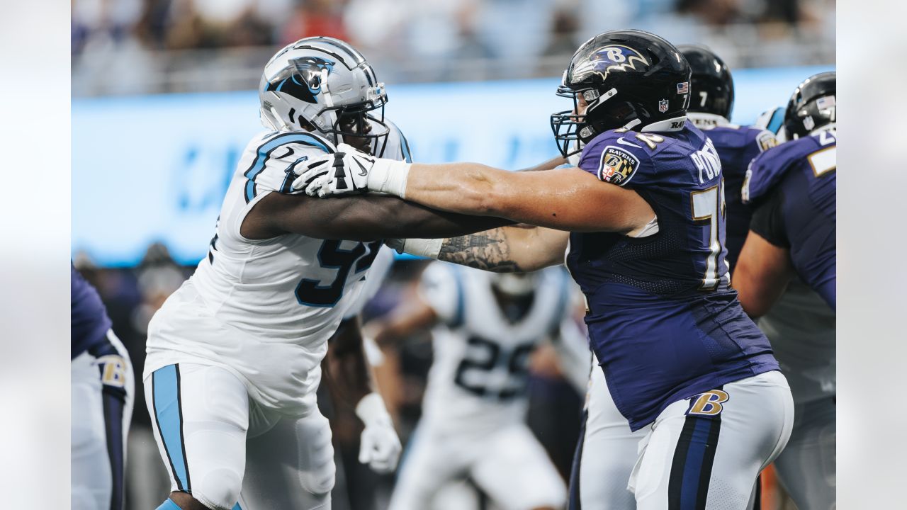 Carolina Panthers' Frankie Luvu measuring up to Greene's vision