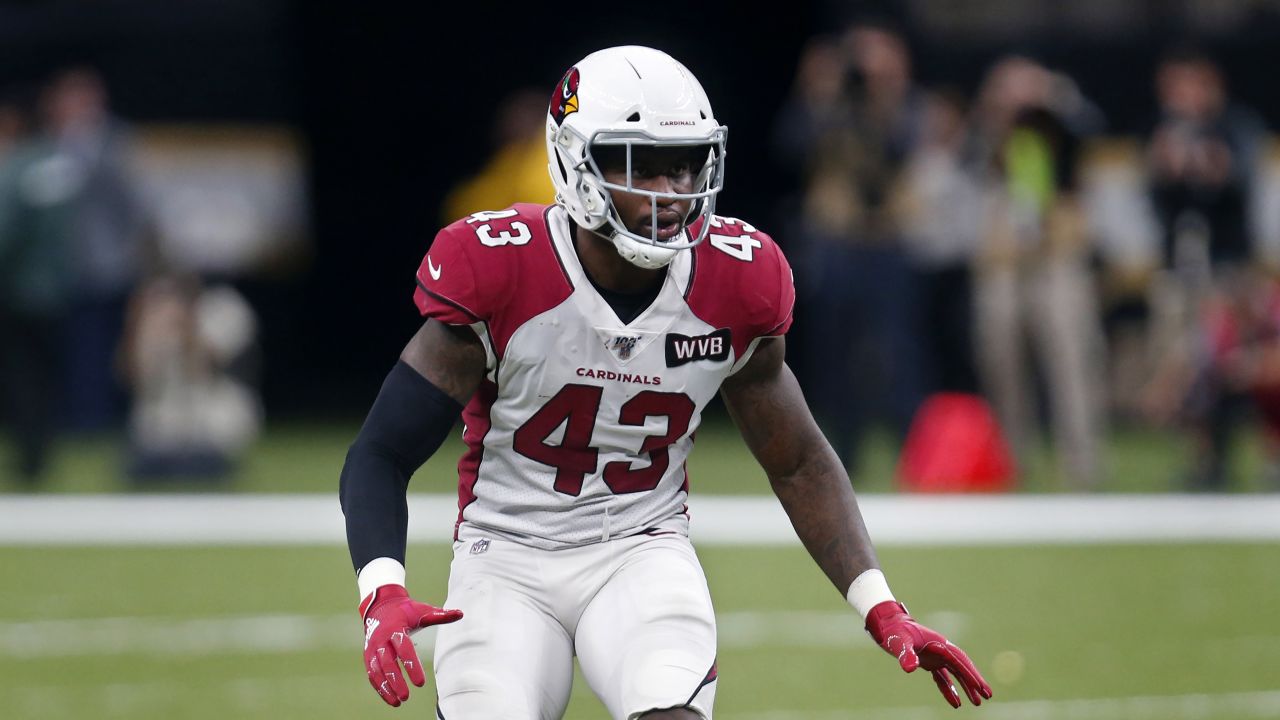 arizona cardinals 43