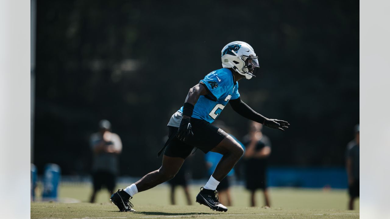 CAROLINA PANTHERS: Javon Wims ᴴᴰ 