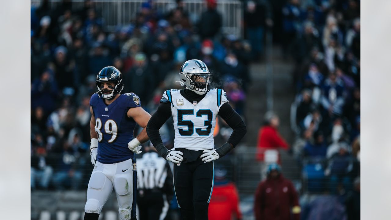 PHOTOS: Game action shots from Panthers-Ravens