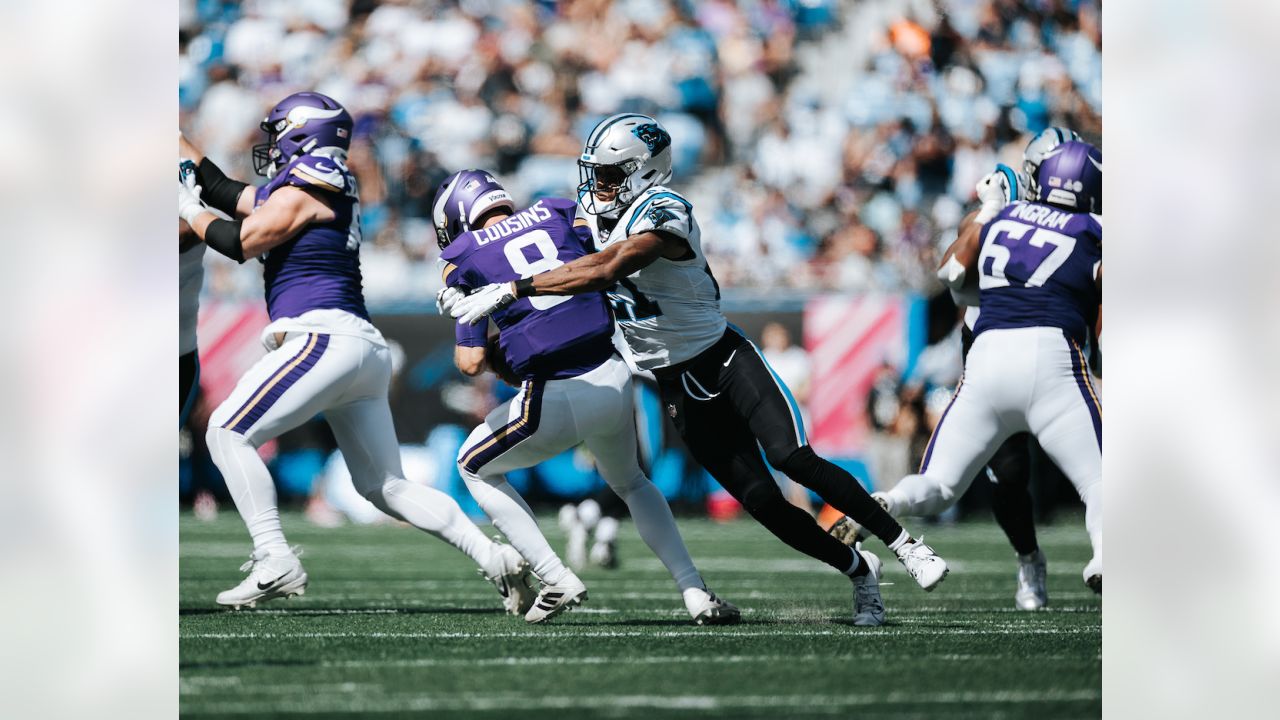 Panthers vs. Vikings, Pregame Gallery