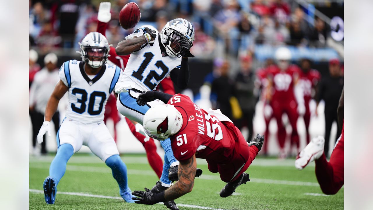 GAME PHOTOS: Week 4 - Cardinals At Panthers