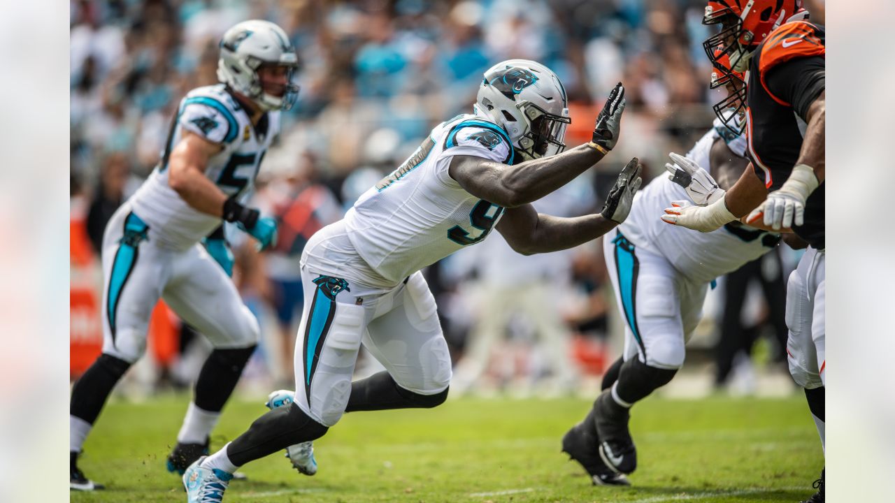 Five key stats from the Panthers' Week 9 loss to the Cincinnati Bengals -  Cat Scratch Reader