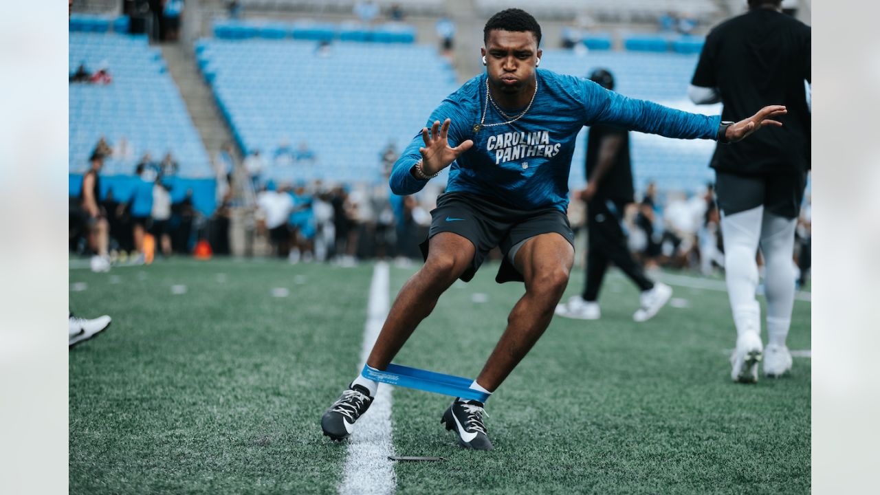 Panthers vs. Lions, Pregame Gallery