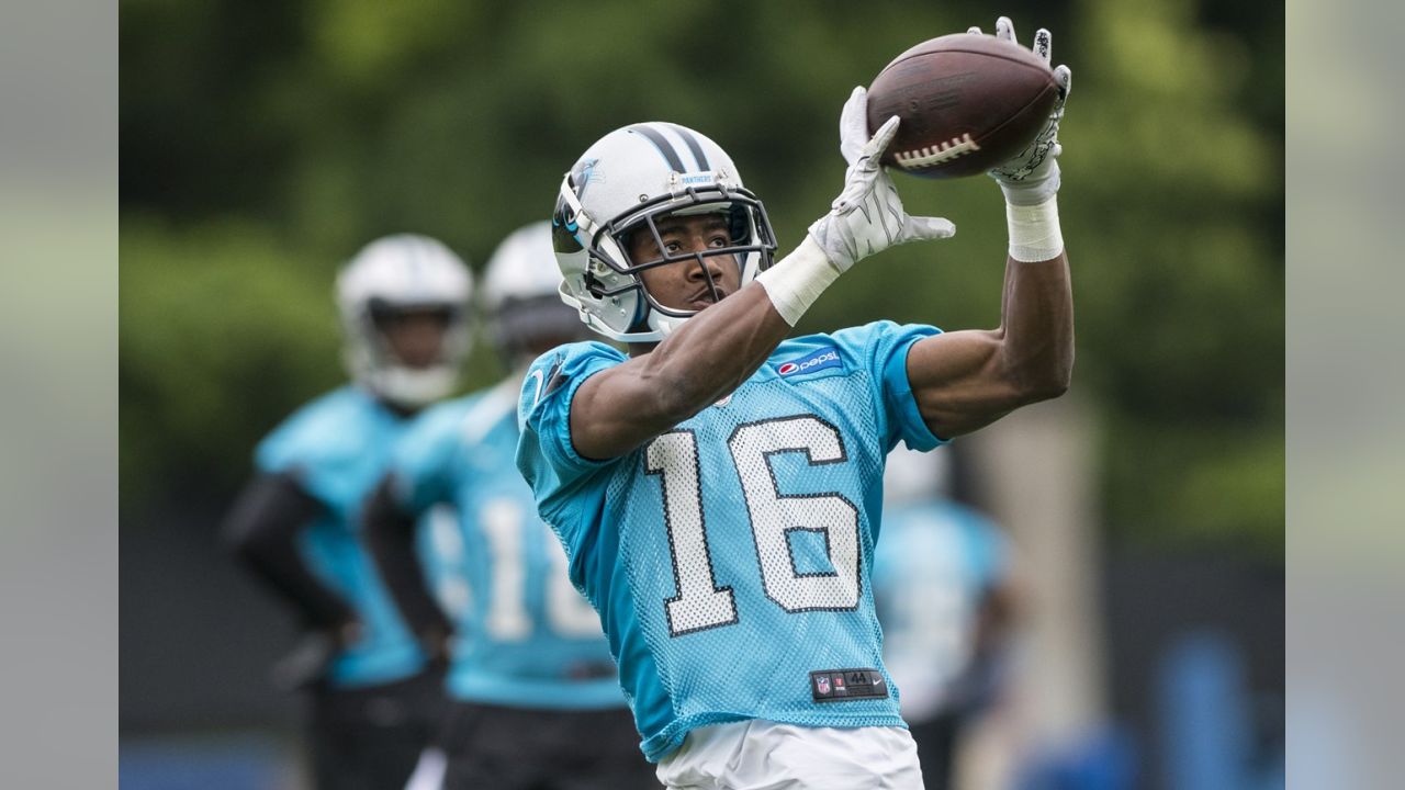 Panthers bolster receiving corps with Jerricho Cotchery