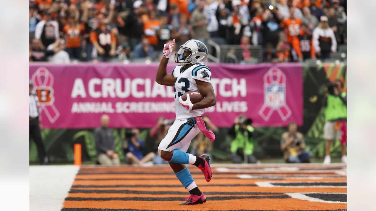 Carolina Panthers vs. Cincinnati Bengals Week 9 Preview