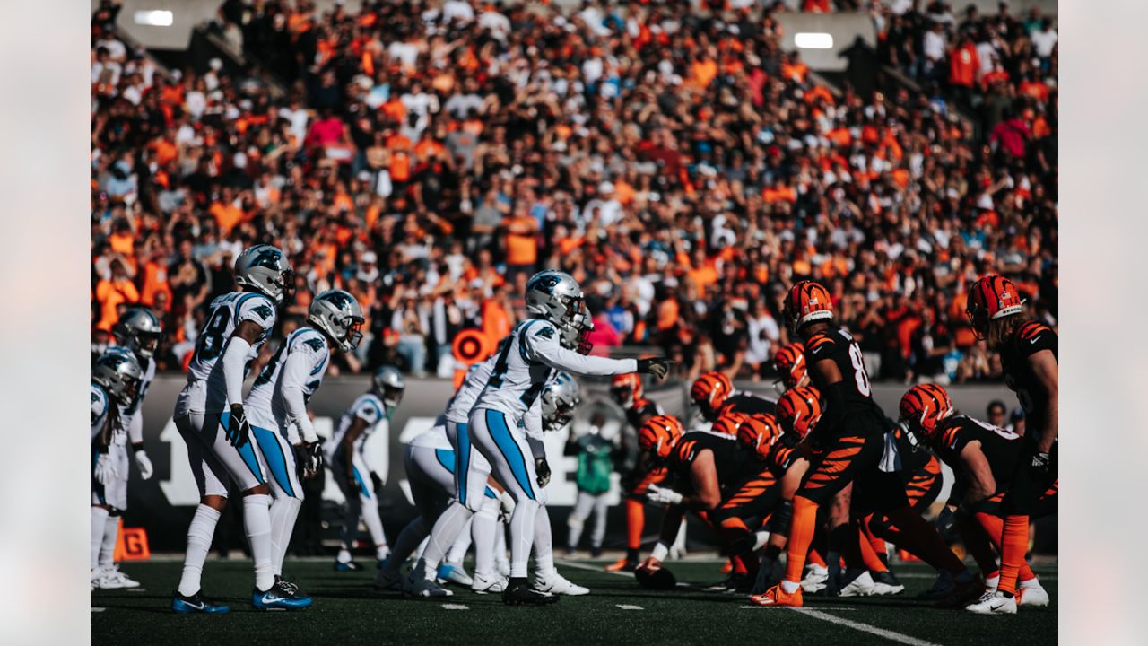 Panthers Vs Bengals Stock Photo, Picture and Royalty Free Image