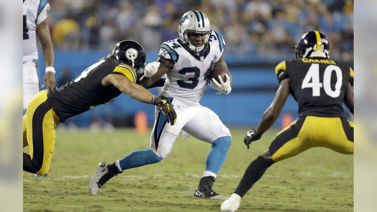 Panthers defeat Steelers 18-6 in preseason game