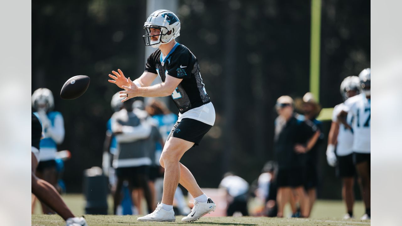 Bryce Young first impressions emerge from insiders at Carolina Panthers  training camp - Mirror Online