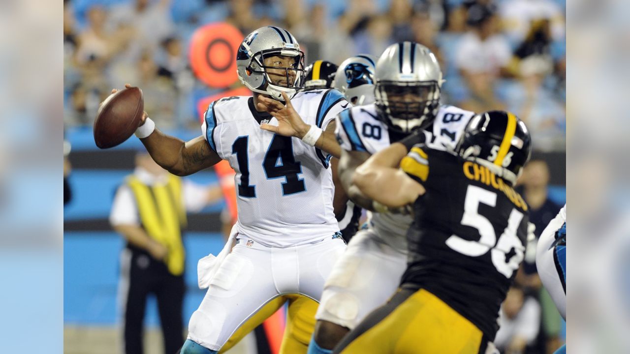 The Carolina Panthers' Joe Webb (14) passes the ball before being