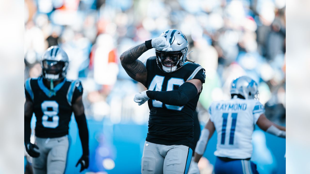 4,022 Carolina Panthers V Detroit Lions Photos & High Res Pictures