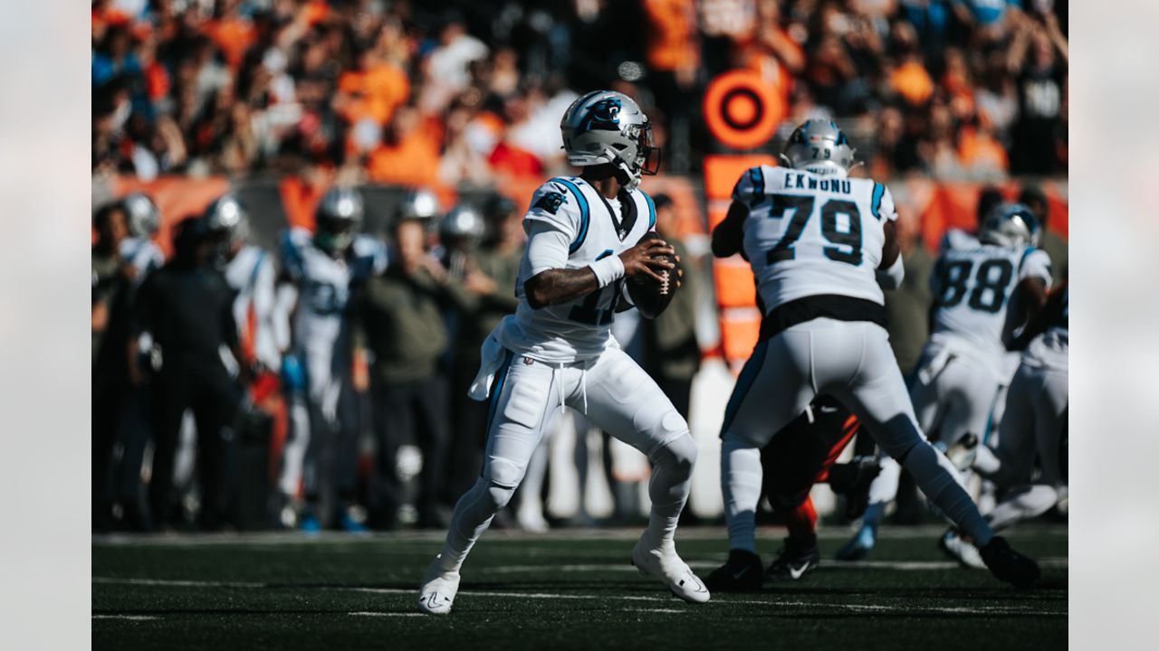 Photos: Carolina Panthers at Cincinnati Bengals, 11/6