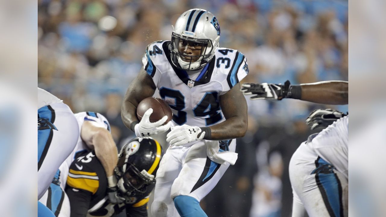 Panthers defeat Steelers 18-6 in preseason game