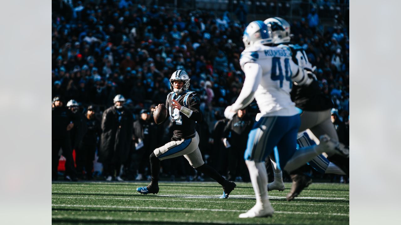 Lions vs. Panthers Week 16 Photo Gallery