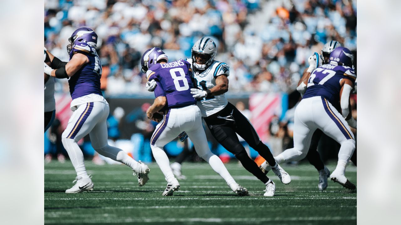 Panthers vs. Vikings, Game Action Gallery