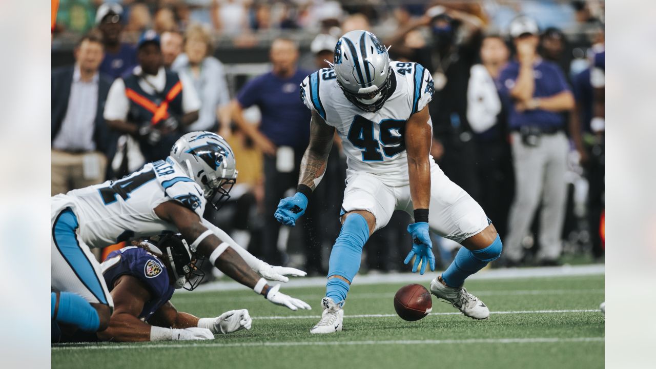 Carolina Panthers' Frankie Luvu measuring up to Greene's vision