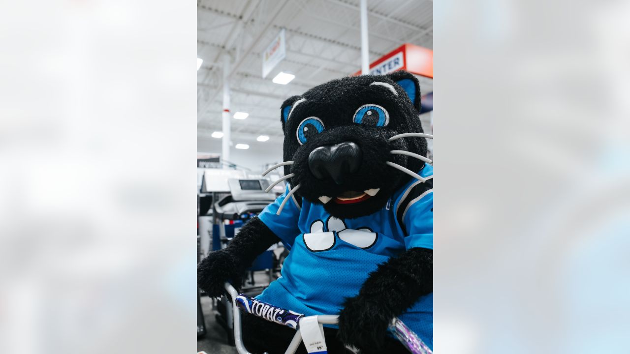 19 Sir Purr ideas  purring, carolina panthers, panthers