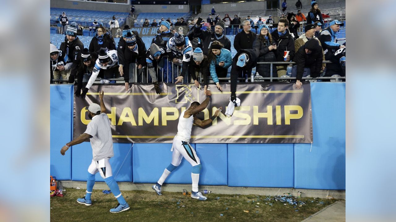 Arizona Cardinals 15-49 Carolina Panthers: NFC championship game