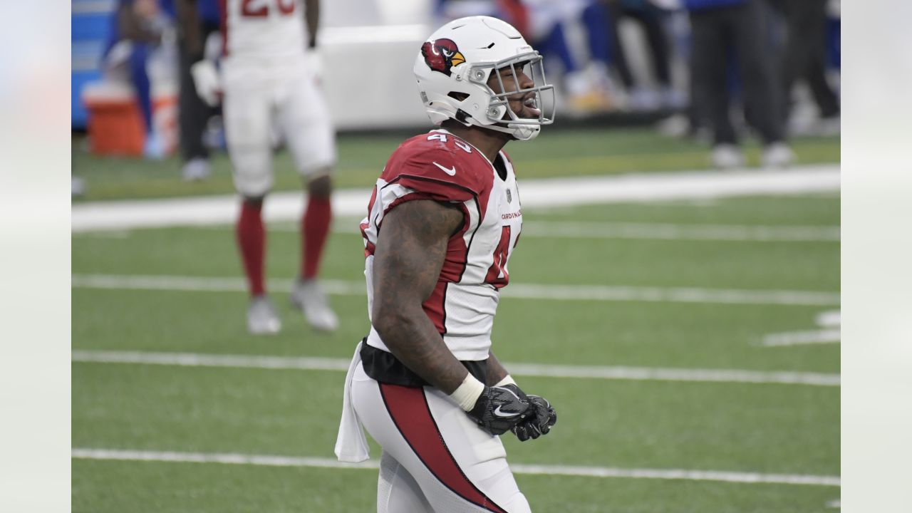 Haason Reddick named Panthers' 'unsung hero' of 2021 season