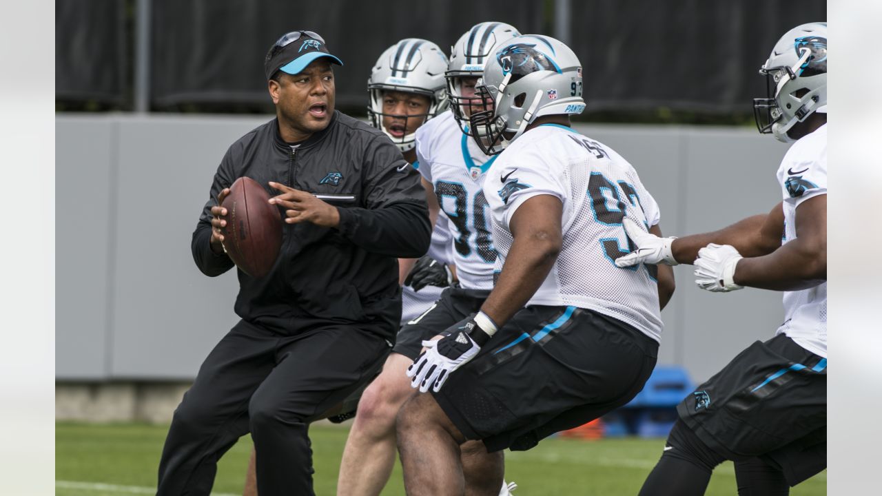 Grading Panthers: How'd Steve Wilks' team perform vs. Rams