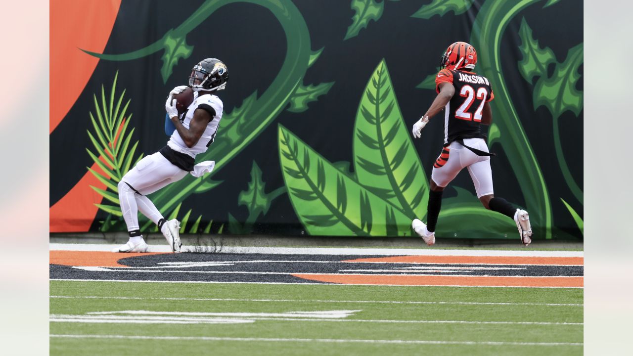 Jacksonville Jaguars wide receiver D.J. Chark (17) celebrates