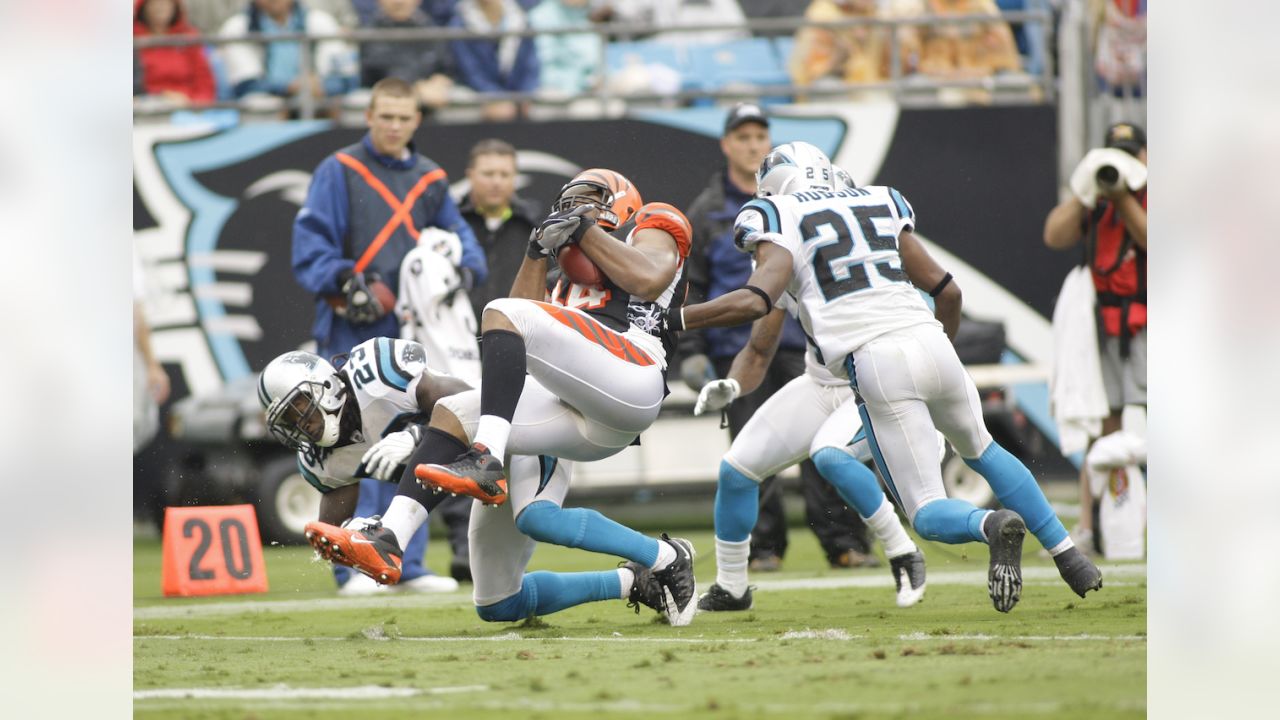 Cincinnati Bengals: First look at Week 3 foe Carolina Panthers