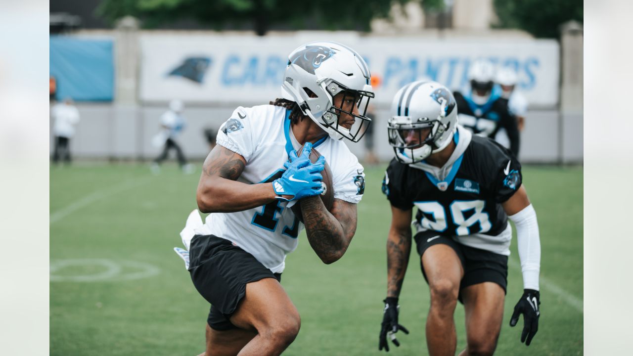 Carolina Panthers running back Spencer Brown (41) looks on against