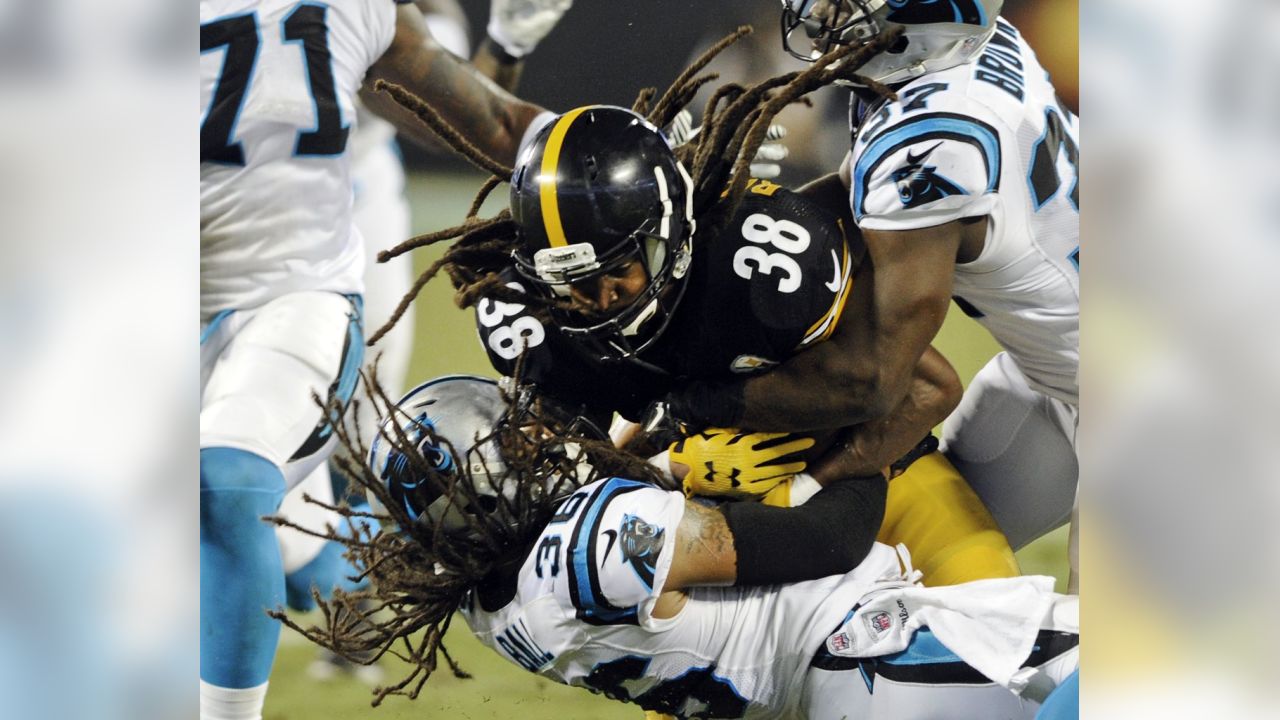 Panthers defeat Steelers 18-6 in preseason game