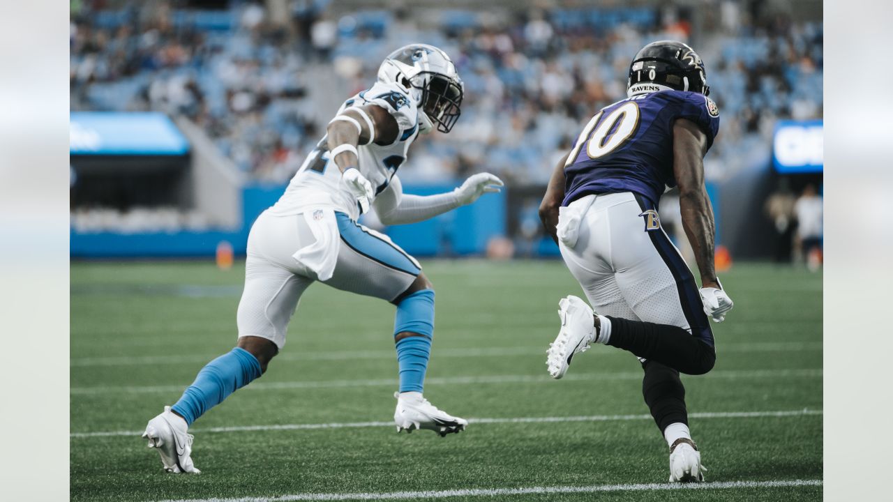 Carolina Panthers' Frankie Luvu measuring up to Greene's vision