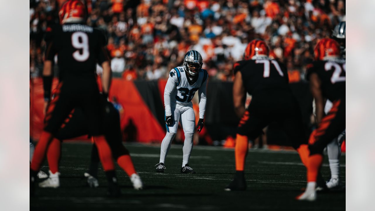 Panthers Vs Bengals Stock Photo, Picture and Royalty Free Image. Image  32296650.