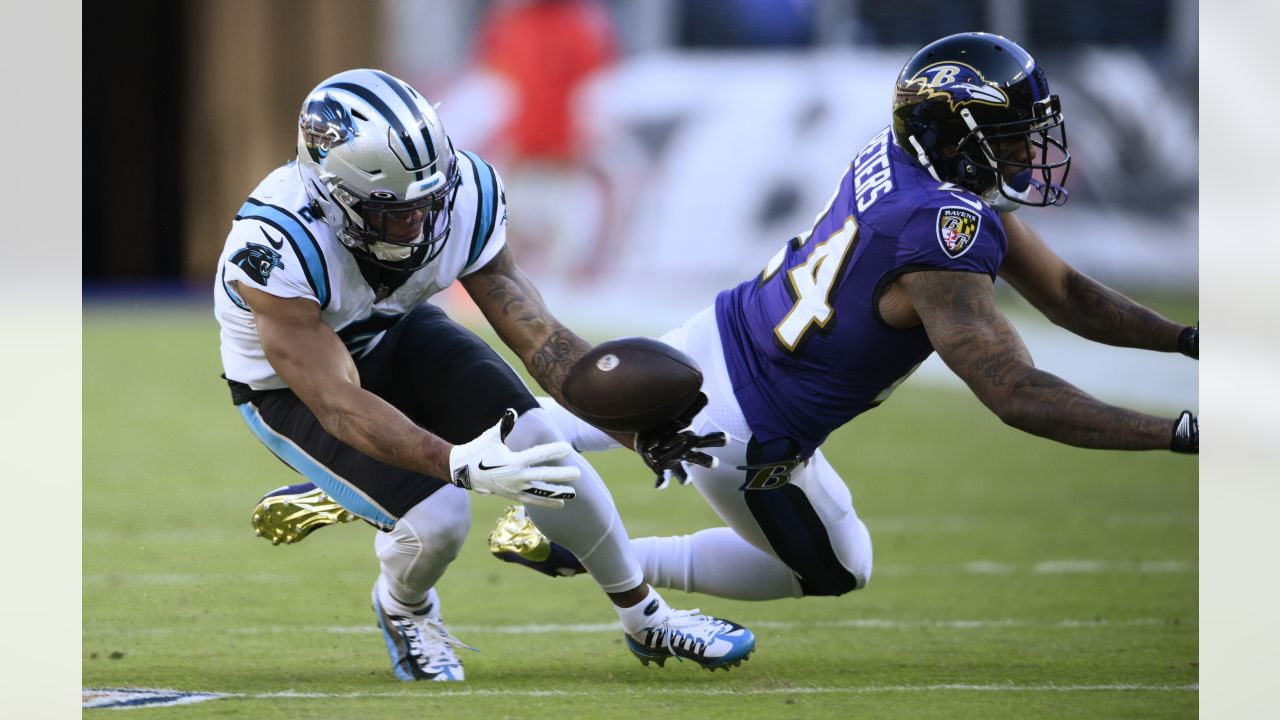 PHOTOS: Game action shots from Panthers-Ravens