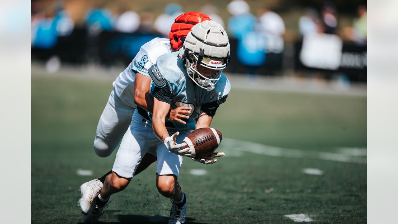 Carolina Panthers to Hold Joint Practice with Daniel High School