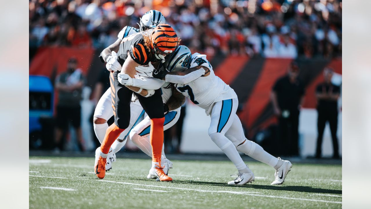 Photos: Best of Bengals-Panthers Game Action