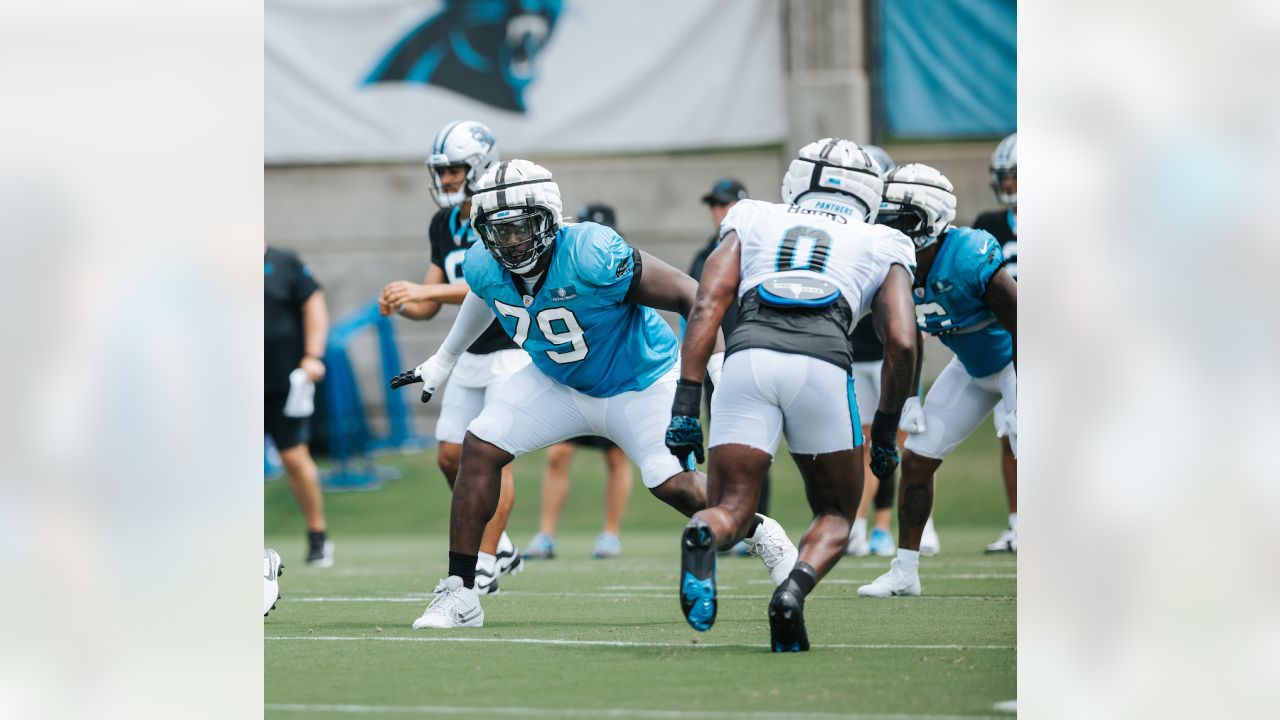 Panthers 17 Lions 26: Bryce Young looks sharp in preseason finale - Cat  Scratch Reader