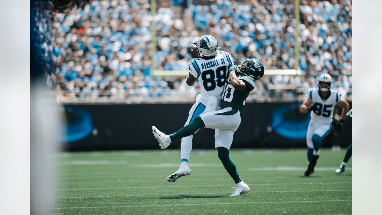 WATCH: Terrace Marshall Jr catches his first NFL touchdown - On3