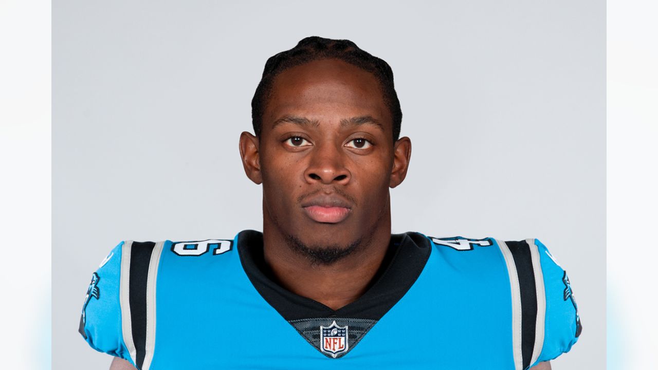 Panthers initial 53-man roster by jersey number for 2019