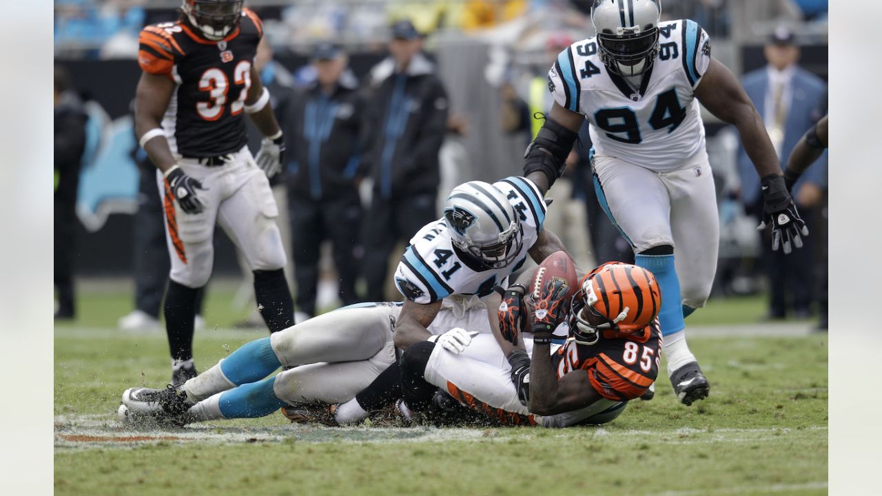 NFL Week 3 Primer: Bengals vs Panthers key facts and stats - Cincy