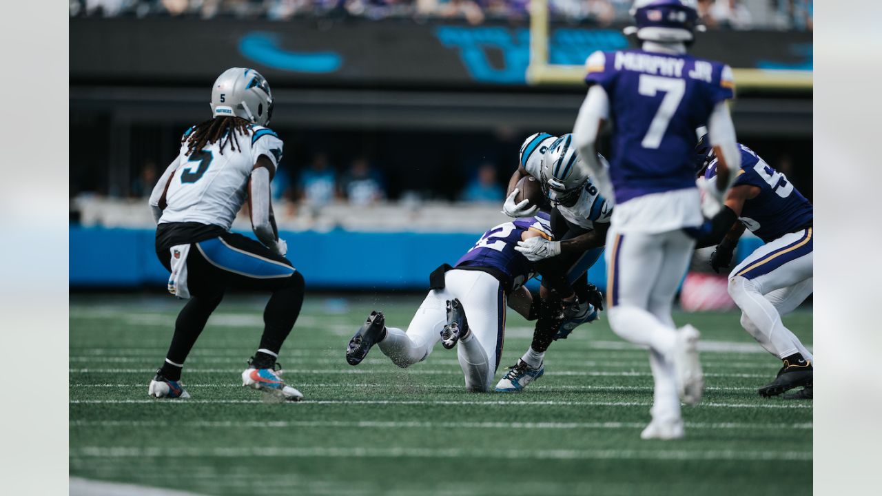 Panthers vs. Vikings, Game Action Gallery