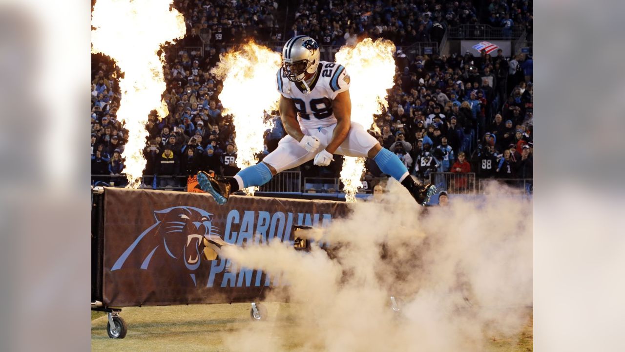 Carolina Panthers beat Arizona Cardinals in NFC Championship