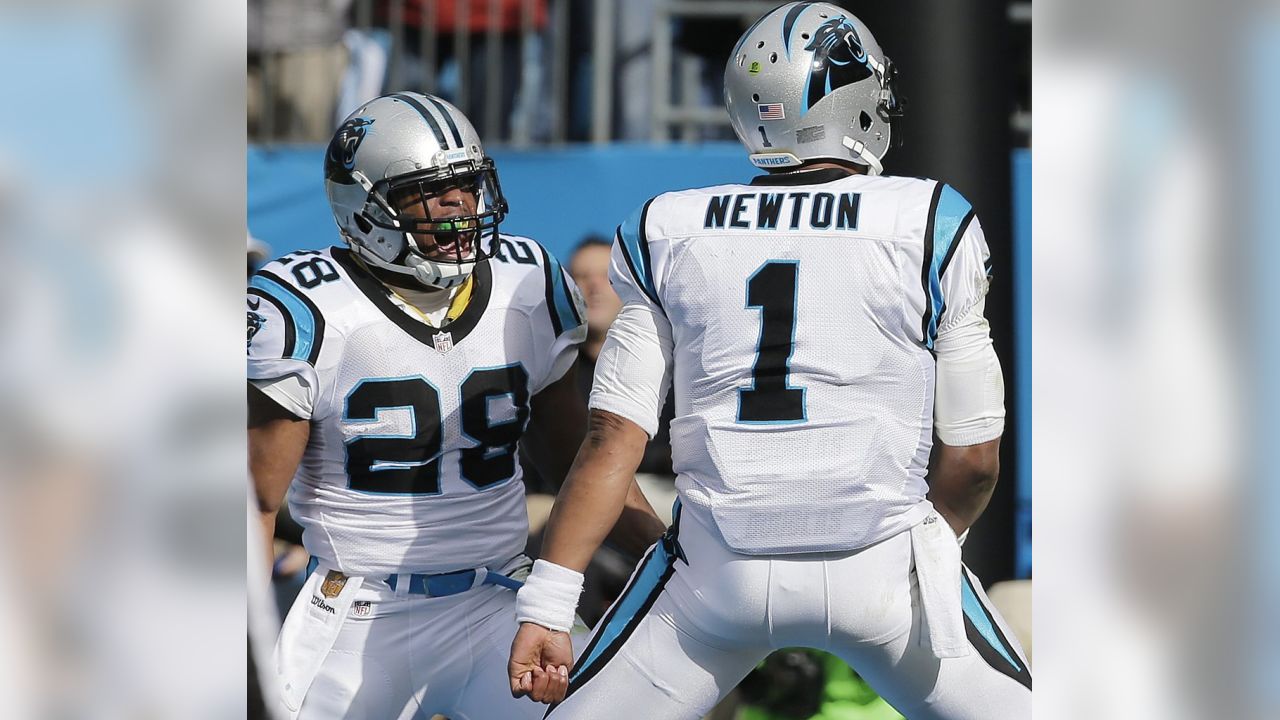 Panthers hold on to beat Seahawks 31-24 after building 31-point lead,  advance to NFC Championship Game – New York Daily News