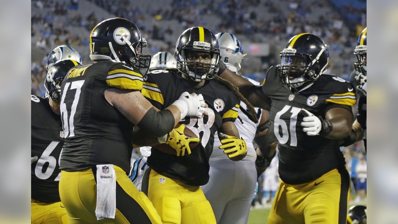 Panthers defeat Steelers 18-6 in preseason game