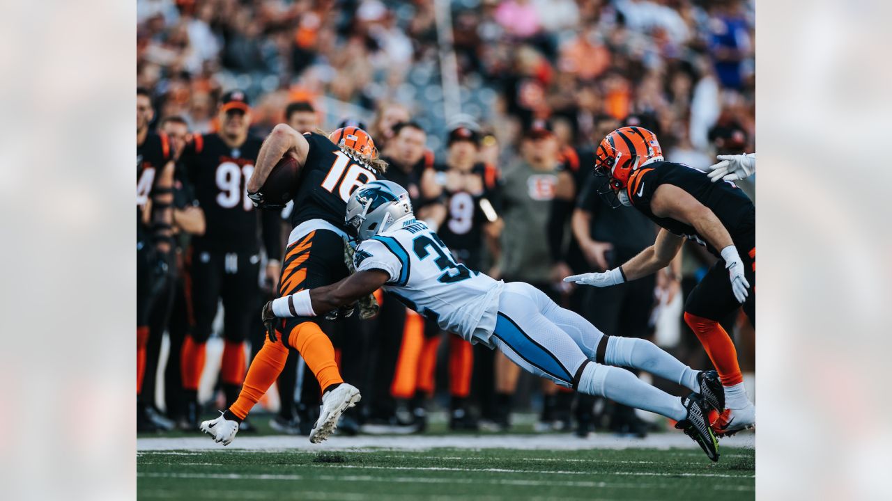 Game Angles: Best of Panthers-Bengals in Week 9