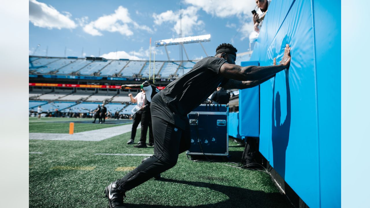 Panthers vs. Vikings, Pregame Gallery