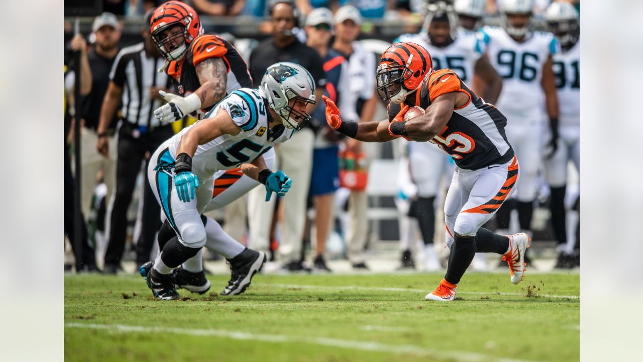 Week 9 Game Preview: Panthers at Bengals