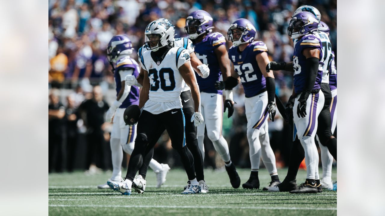 Panthers vs. Vikings, Game Action Gallery